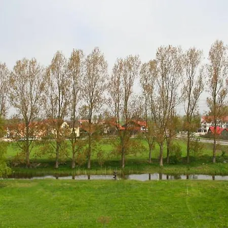 Elzbieta *