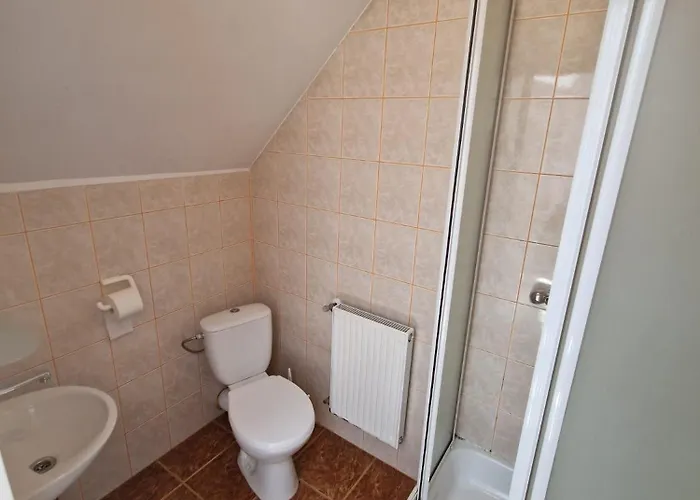 招待所 Elzbieta 莱鲍