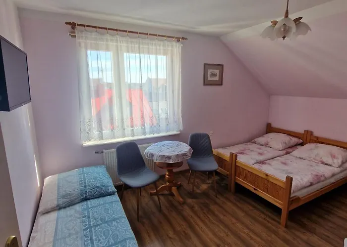 Elzbieta 招待所 *